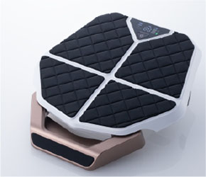 EMSに関連した製品